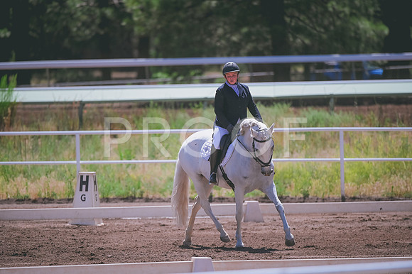 DSC_4629