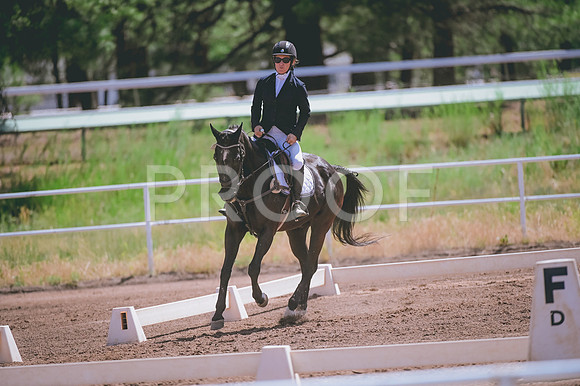 DSC_5012