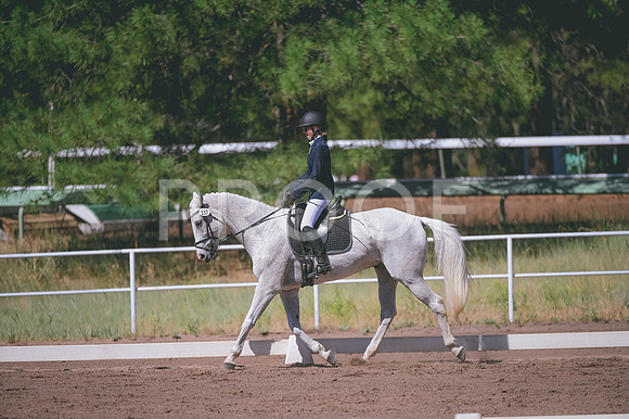 DSC_3837