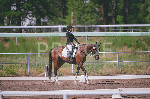 DSC_4201