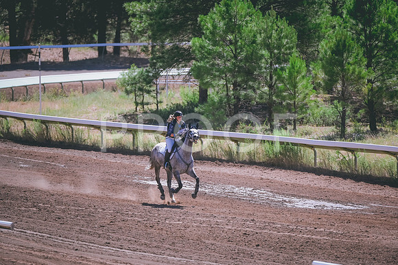 DSC_7918