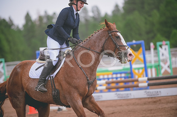 DSC_0221