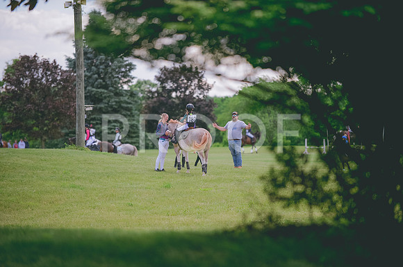 JJS_1301