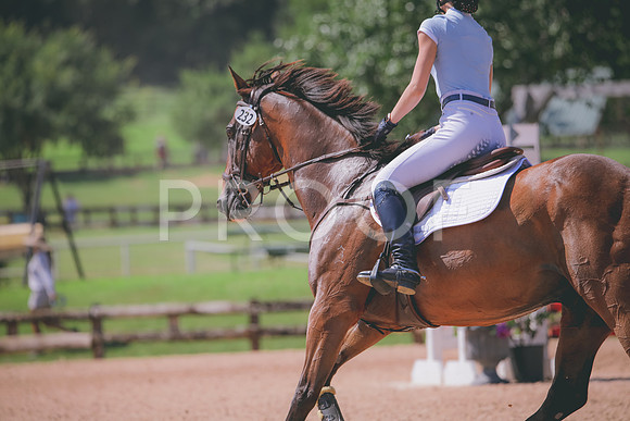 RWP_5098