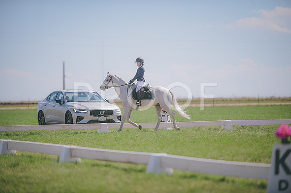JJS_0528