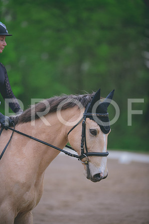 JJS_5351