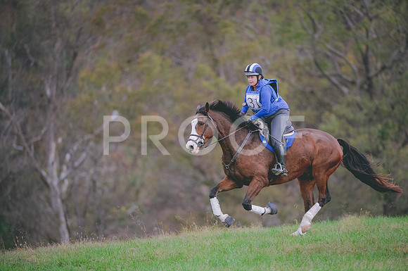 JJS_0737