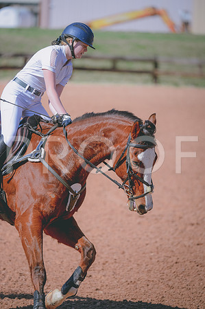 JJS_0383
