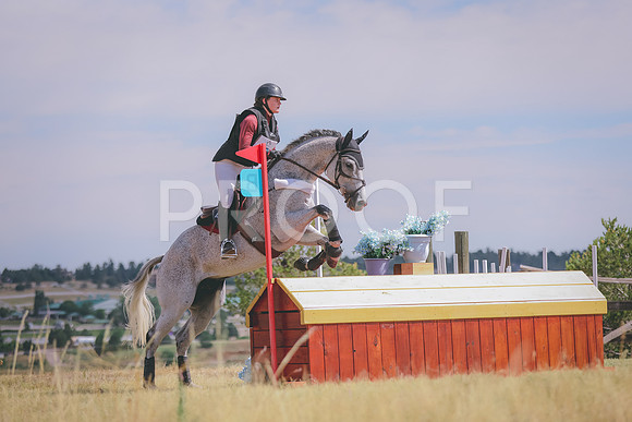 1C1A0115