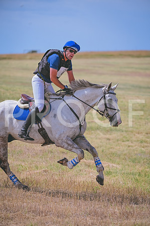 DSC_2494