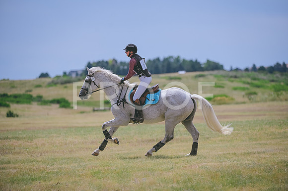 DSC_4441