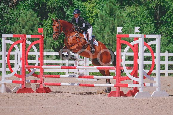 _MG_7004