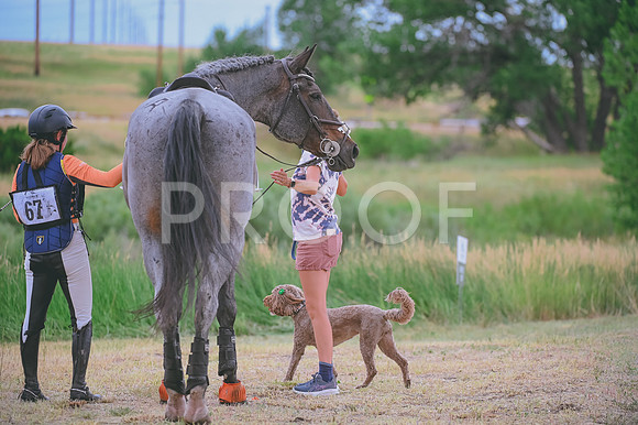 DSC_2697