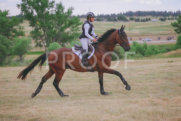 1C1A1375