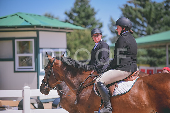 DSC_2123 copy