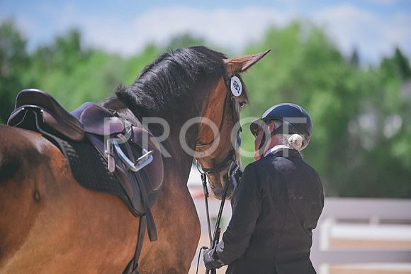 DSC_3113