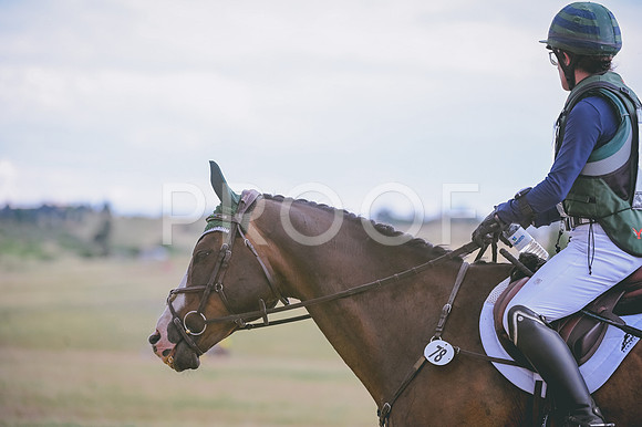 DSC_4551