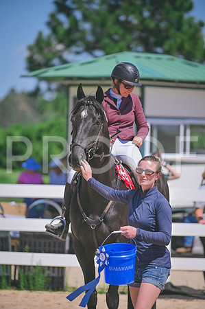 DSC_2772
