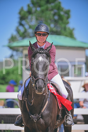 DSC_2781 copy