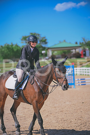 DSC_8380 copy