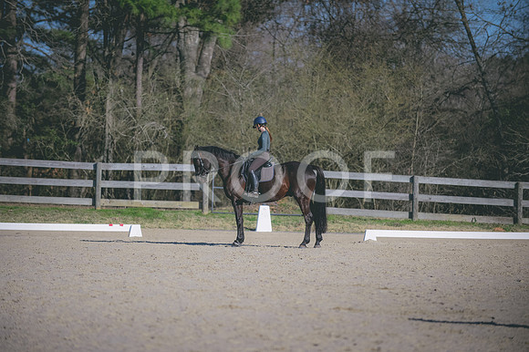 JJS_4879