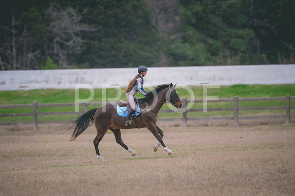JJS_2223