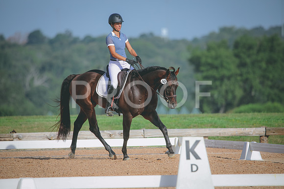 RWP_4602