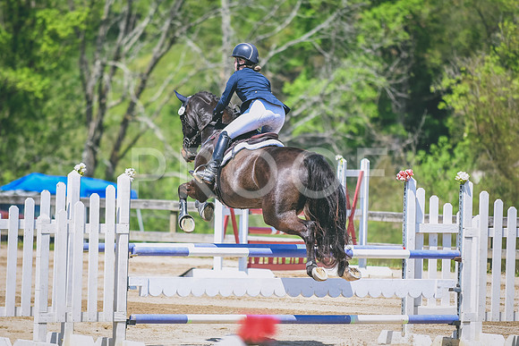 DSC_0346
