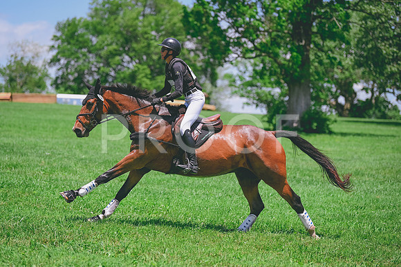 CRR_1353