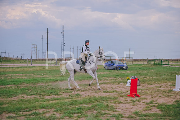 DSC_1185