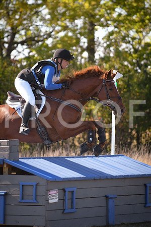 DSC_1750 copy