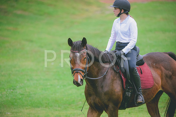 JJS_2928