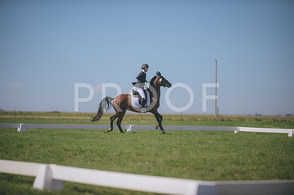 JJS_2445