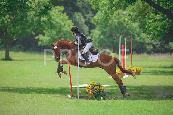 RWP_2918