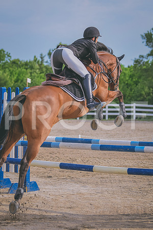 DSC_6673 copy