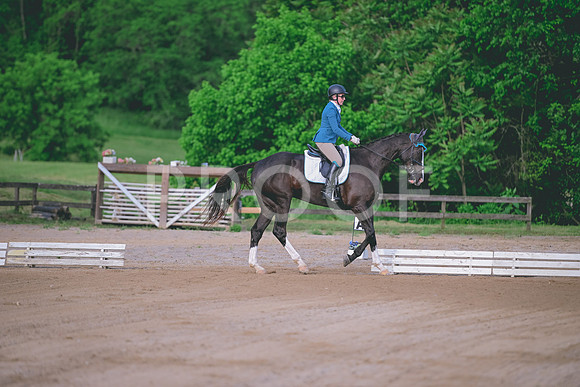 TLS_2005