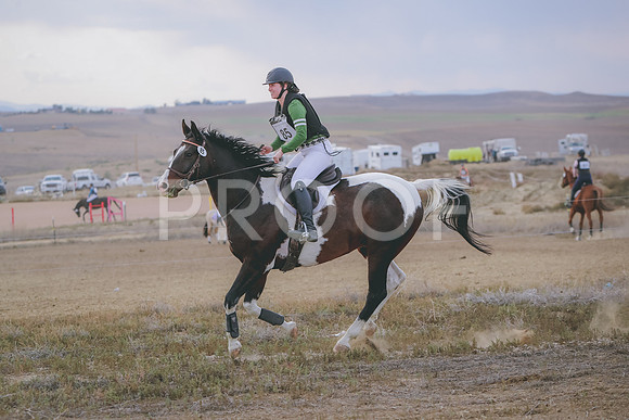 CDH_0233