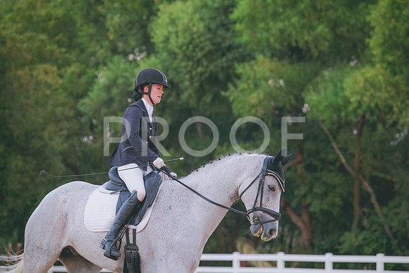 RWP_1677