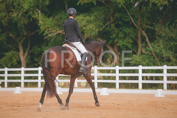 RWP_2304