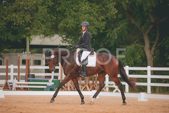 RWP_2310