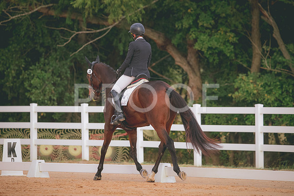 RWP_2313