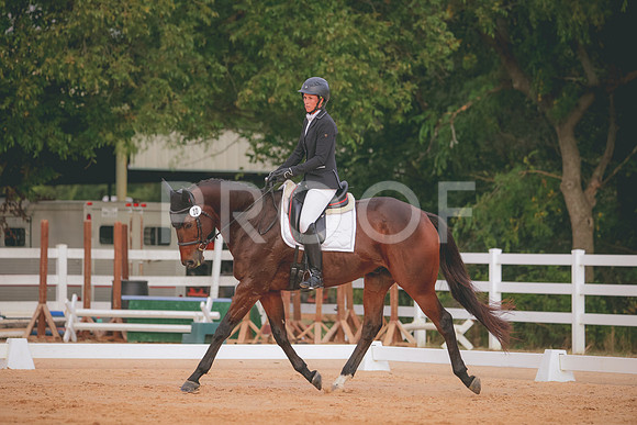 RWP_2311