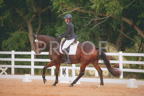 RWP_2319