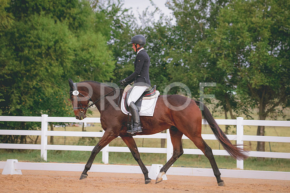RWP_2325