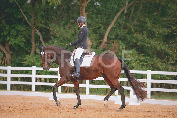 RWP_2328