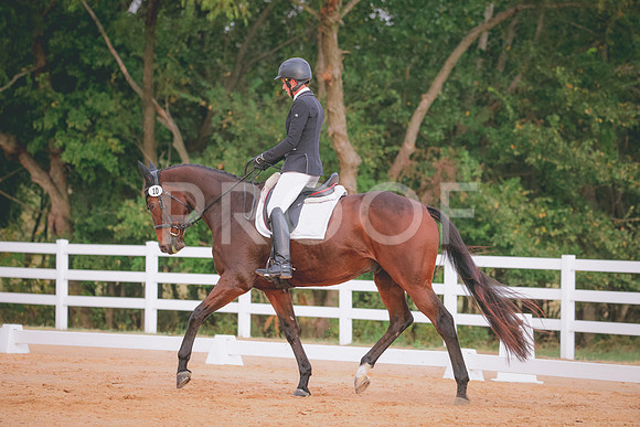 RWP_2329