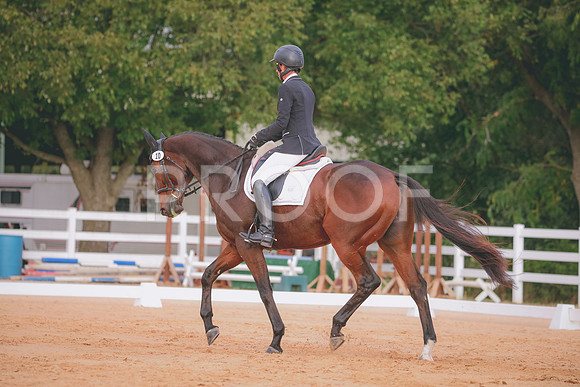 RWP_2333
