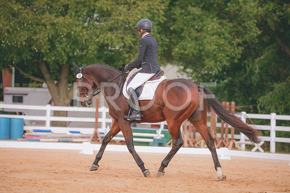RWP_2334
