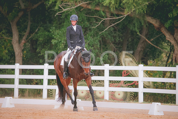 RWP_2341