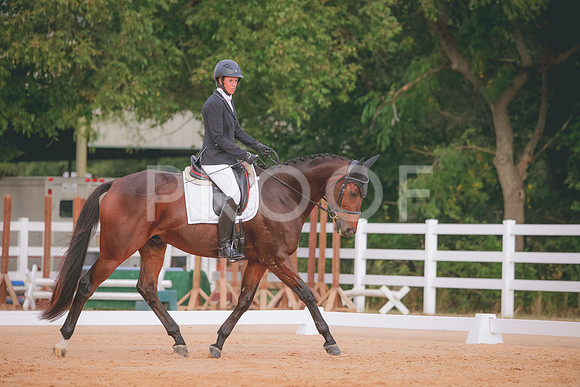 RWP_2349